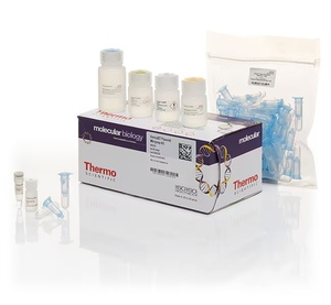 GeneJET™ Plasmid Miniprep Kit