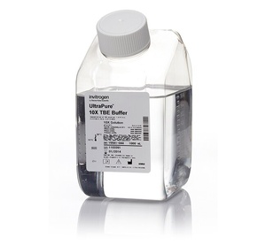 Invitrogen™ UltraPure™ TBE Buffer, 10X