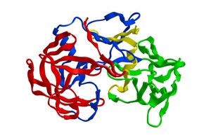 Apollo Sci. Pepsin Enzyme