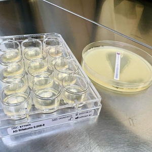 Liofilchem™ Blood AD Clindamycin 0.03-32, Agar Dilution AST 