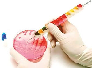 Liofilchem™ EnteroPluri-Test System for Enterobacteriaceae Identification