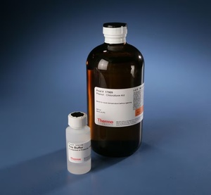 Thermo Scientific™ Phenol:Chloroform + Tris Buffer