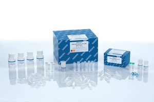 QIAamp® DNA Microbiome Kit, 50 Preps