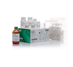 Invitrogen™ TRIzol™ Plus RNA Purification Kit, 50 preps