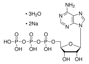 Apollo Sci. Adenosine-5'-triphosphate disodium salt (ATP disodium salt) trihydrate ≥98%