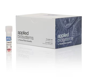 Applied Biosystems™ TaqMan™ TAMRA Probe