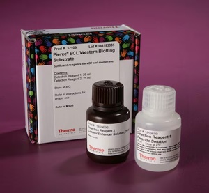 Thermo Scientific™ Pierce™ ECL Western Blotting Substrate