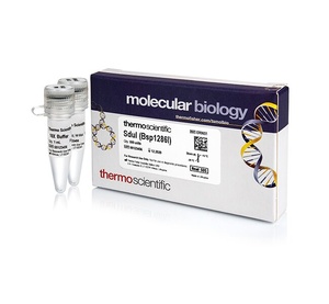 Thermo Scientific™ SduI (Bsp1286I) (10 U/μL), 500 UNITS