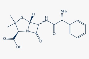 Selleckem Ampicillin