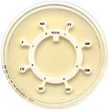 Liofilchem™ MULTODISCS