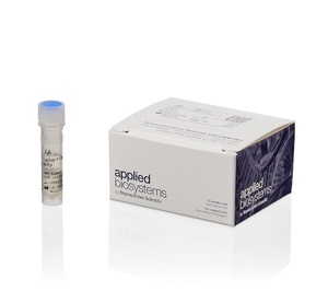 Applied Biosystems™ TaqPath™ 1-Step Multiplex Master Mix (No ROX)