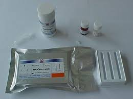 Liofilchem® Microplate Acetylcholinesterase Inhibition Assay (MAIA) Pesticide MultiTest