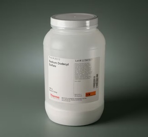 Thermo Scientific™ Sodium Dodecyl Sulfate (SDS), C12