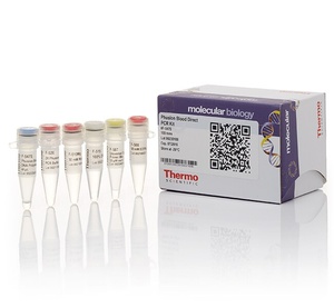 Thermo Scientific™ Phusion Blood Direct PCR Kit