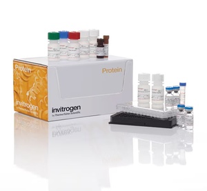 Invitrogen™ Cytokine 10-Plex Human Panel, 96 Tests