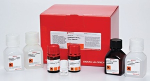 Sigma-Aldrich Silver Stain (Modified GMS) Kit