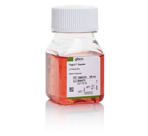 Gibco™ TrypLE™ Express Enzyme (1X), phenol red