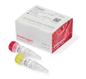 Invitrogen™ Lipofectin™ Transfection Reagent