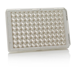Thermo Scientific™ 96 Well White/Clear Bottom Plate, TC Surface