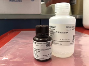 Invitrogen™ eBioscience™ 1-step Fix/Lyse Solution (10X)