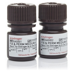 Invitrogen™ FIX & PERM™ Cell Permeabilization Kit