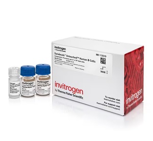 Invitrogen™ Dynabeads™ Untouched™ Human B Cells Kit, 10mL
