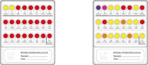 Liofilchem® Integral System Stafilococchi