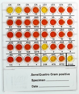 Liofilchem® SensiQuattro Gram-positive, 20 Tests