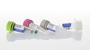 GoTaq® G2 Flexi DNA Polymerase