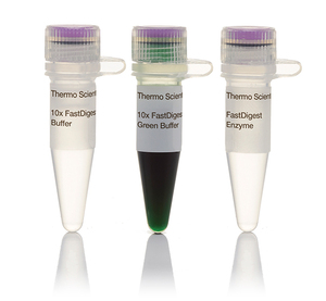 Thermo Scientific™ BamHI (10 U/μL)
