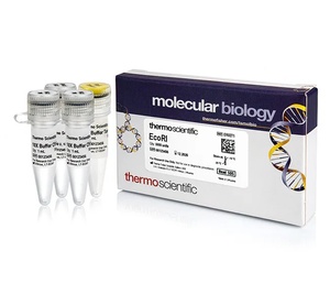 Thermo Scientific™ EcoRI (10 U/μL)