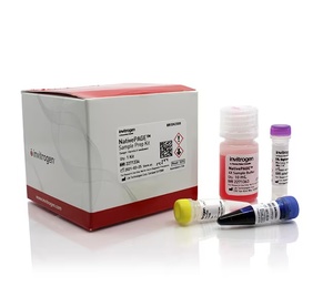 Invitrogen™ NativePAGE™ Sample Prep Kit