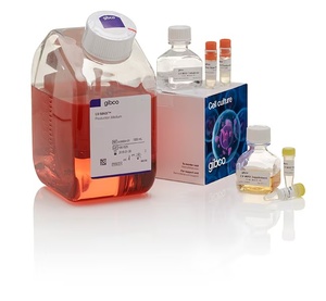 Gibco™ LV-MAX™ Lentiviral Production System