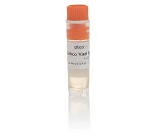 Gibco™ Viral Production Cells