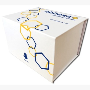 Abbexa Human Haptoglobin Related Protein (HPR) ELISA Kit, 96 Tests