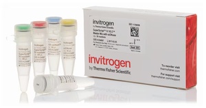 Invitrogen™ SuperScript™ IV VILO™ Master Mix