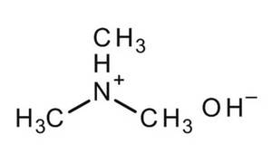 Thermo Scientific™ Trimethylamine 50% (w/w) 7.3 M in aqueous solution, pure