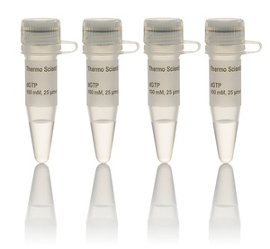Thermo Scientific™ dNTP Set, 100 mM Solutions
