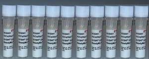 KiCqStart® Probe qPCR ReadyMix™, Low ROX™