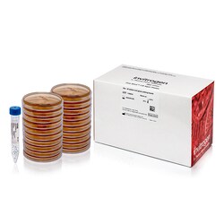 Invitrogen™ One Shot™ LB Agar Plates