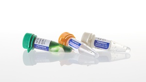 GoTaq® G2 DNA Polymerase