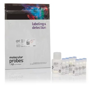 Invitrogen™ MitoProbe™ JC-1 Assay Kit