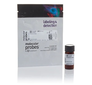 Invitrogen™ Propidium Iodide, 100mg