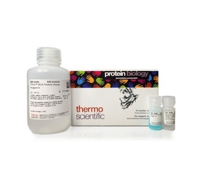 Thermo Scientific™ Pierce™ BCA Protein Assay Kit