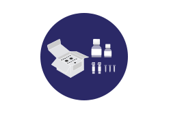 Diagenode ChIPmentation Kit for Histones, 4 chrom. prep./24 IPs