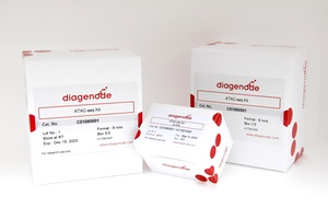 Diagenode ATAC-seq package for tissue