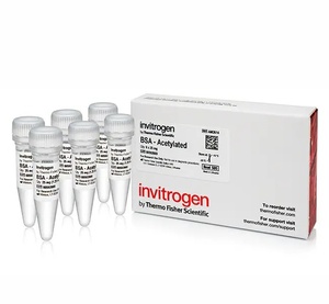 Invitrogen™ BSA, acetylated (20 mg/mL), 6 x 25 mg