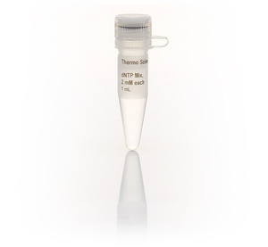 Thermo Scientific™ dNTP Mix (2 mM each)