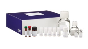 BD™ CBA Human Inflammatory Cytokine Kit – I, 80 Tests 