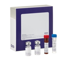BD™ CBA Human Angiogenin Flex Set, 100 Tests